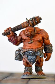 OGRE GUARD 07063 Reaper Miniatures by Mordraoi