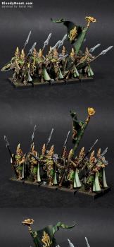 Wood Elves Eternal Guard by BloodyBeast.com