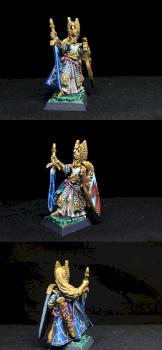 High Elf Lord with Sword and Shield by hazelanne