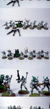 Eldar Biel-tan Guardians by RezoAmalio
