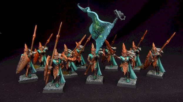 Wood Elves Eternal Guard by Awaken Realms