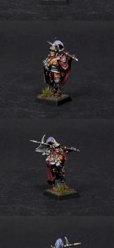 The Empire Captain by BloodyBeast.com
