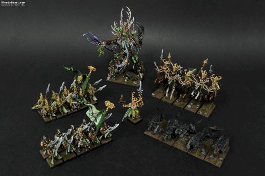 Wood Elves Army by BloodyBeast.com