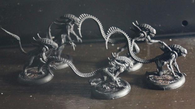 Alien warriors by kust
