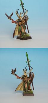 Nomad Prince / Wood Elves Lord Hero by WarArt