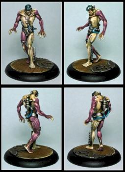 Flesh Construct by Bonczek