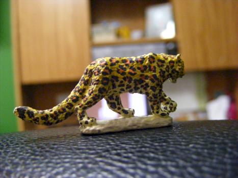 Leopard by Stillwind