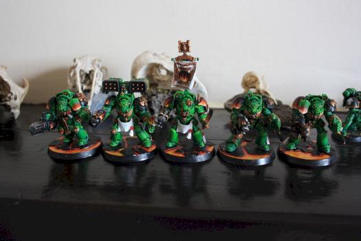 Salamander Terminators by WelshyTheCelt