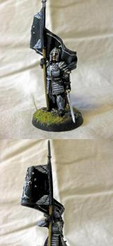 Minas tirith Bannerbearer by Troll kim