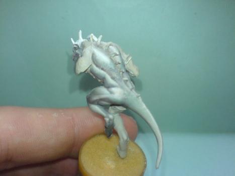 wip homme lezard meilleur photo by marc. c