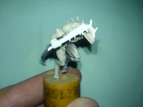 wip hl meilleur photo by marc. c