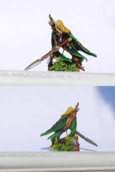 Wood Elf Noble by sirkarmilis