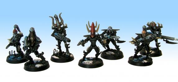 Dark Eldar Warrior Squad by Honorius