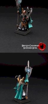 High Elf Caradryan by SavageDPainting