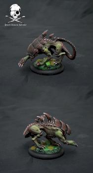 Raek by Jolly Roger Studio
