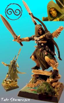 Held der Waldelfen/ Wood Elf Hero [converted] by Tassador