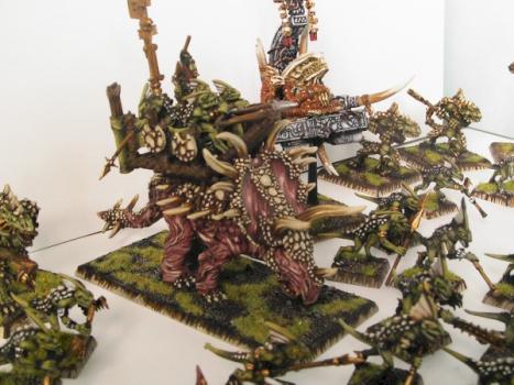Warhammer: Well Painted Warhammer Lizard Tournament army by AM Studio