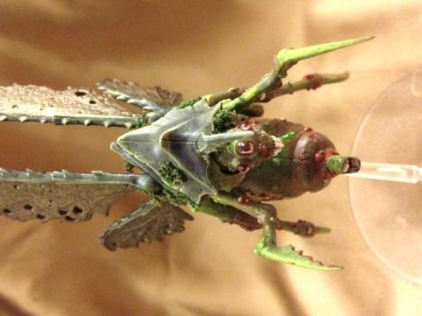 Plague Drone by Roxana Hire