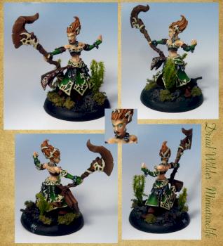 Druid Wilder by Miniaturelife