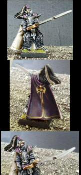 Dark elf champion by JohnMatrix