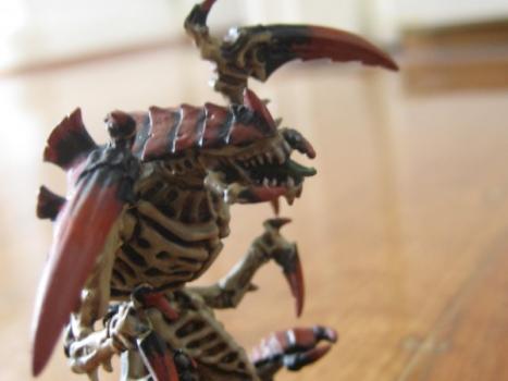 nid ravener by i dig hot dogs