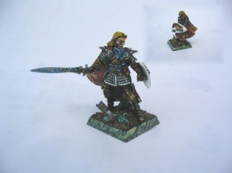 Special High Elf Campaign Charakter by trollslayer