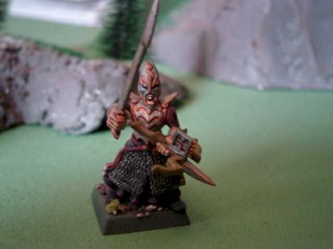Dark Elf Warriror by Surion