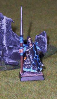 Dunkelelfen Krieger by Malus1980