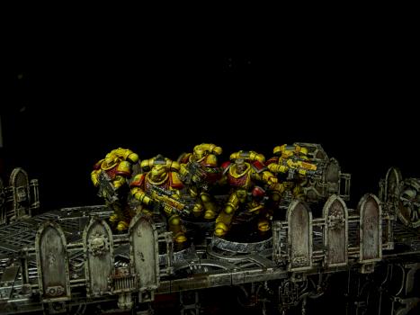 Imperial Fists intercessors by regis