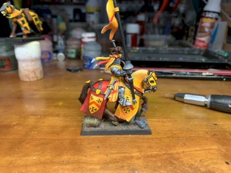 Knight of the realm by Salverius