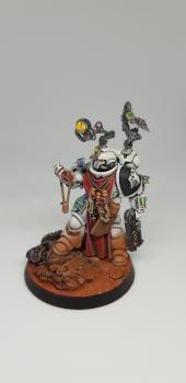 Brother Apothcary Aross by Wooday