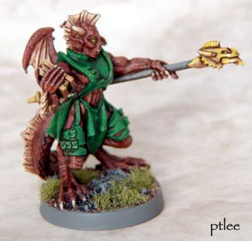 Ravilla's Half Dragon Mage for Chainmail by Temperance