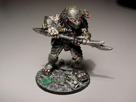 Predator #2 (updated photo) by Annerios