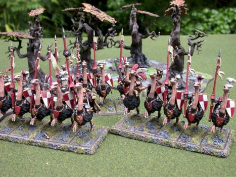 Ostrich Knights: Warhammer Empire by Swan-of-War