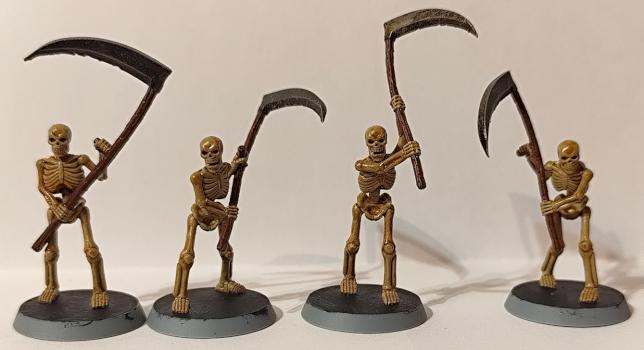 Advanced Heroquest, Squelettes by Valnar Nightrunner