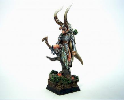 wood elves champion by derwish