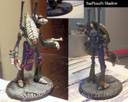 Sael'locel's Shadow by Valkyrie