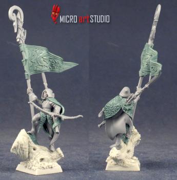 Wood Elves Standard Bearer by vandoc