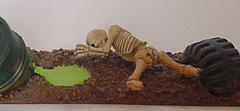 Terrain Strip for WH40K by Franz