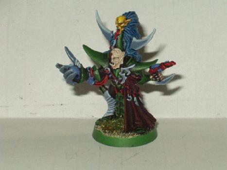 Dark Eldar Lord by Kharnarg