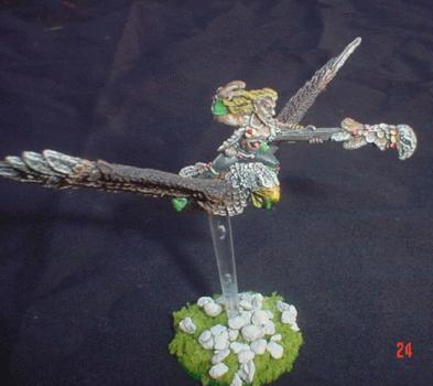 wood elf mage on warhawk by T. Mack