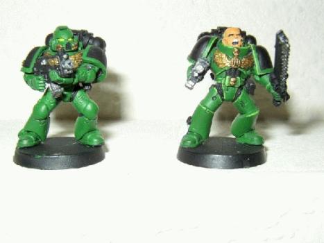 Sting's 1st Salamanders by AZStinger