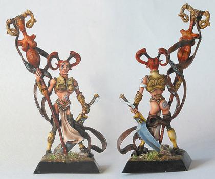 Fianna Standard Bearer by taban