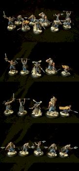 Wyldfolk of Annyr Warband by DrumAndBass