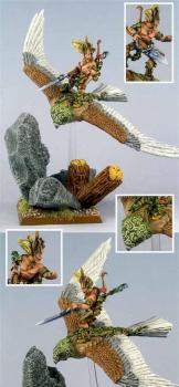 WARHAMMER Wood Elf Warhawk rider Lord  PAINTED by Karina