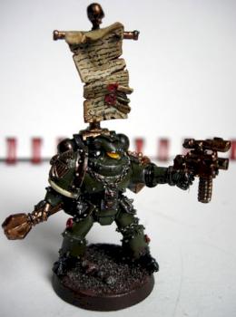 Vet Sarg by pravo