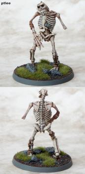 Chainmail Ahmut's Legion Battered Skeletal Troll by Temperance