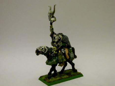 A mounted Sorceror of Chaos done in bone and green. by Sariel