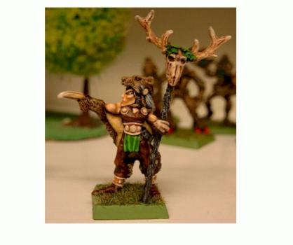 Wood Elf Mage by carabine