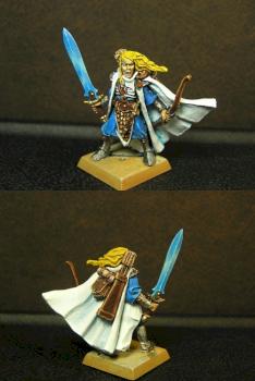 high elf shadow warrior by hsh521